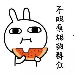 娱乐吃瓜酱改同城,同城热点一网打尽